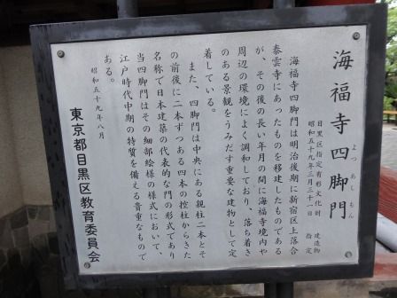 イメージ 7