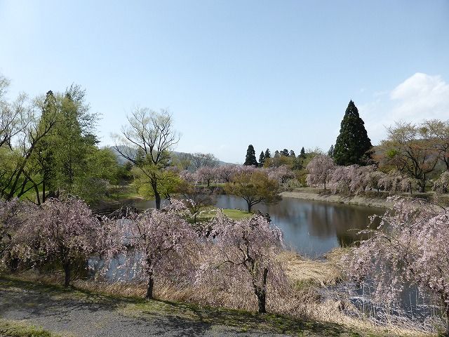 イメージ 4