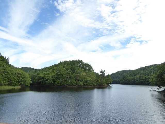 イメージ 13
