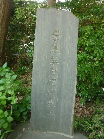 イメージ 18