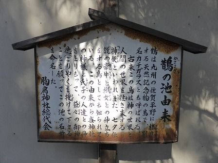 イメージ 12