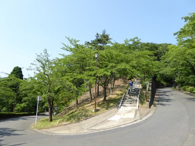 イメージ 5