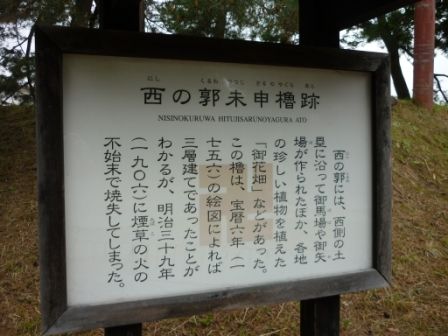 イメージ 5