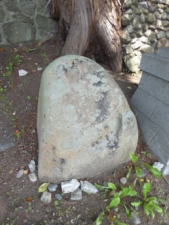 イメージ 14