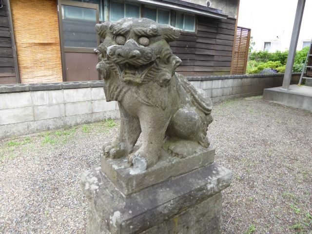 イメージ 7