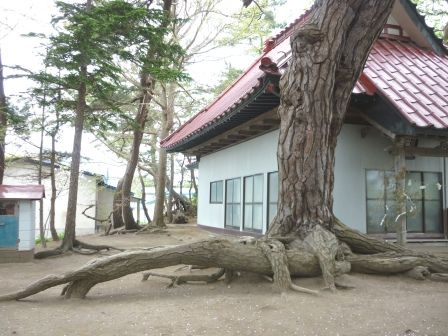 イメージ 13