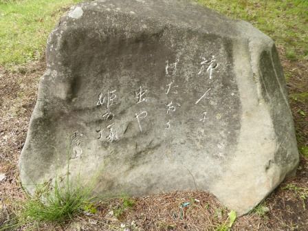イメージ 30