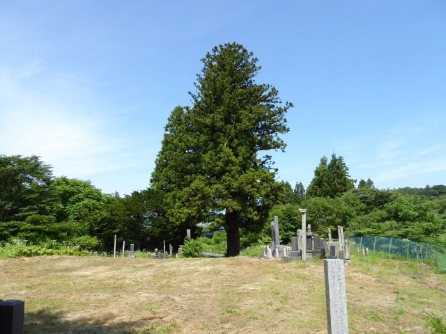 イメージ 34