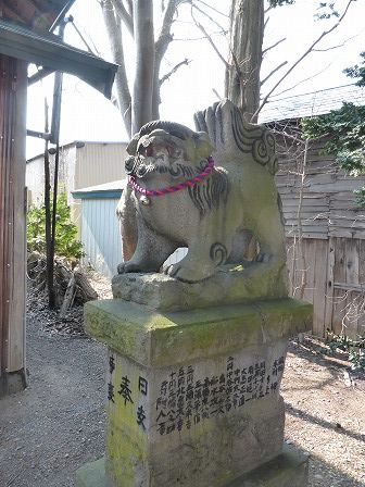 イメージ 5