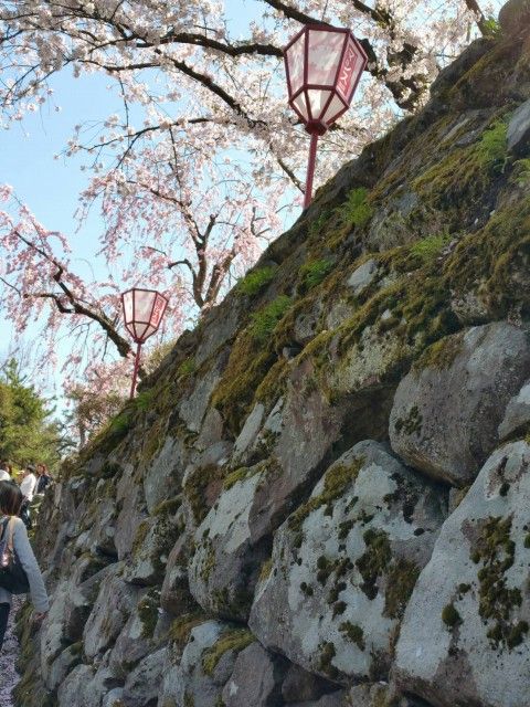 イメージ 34