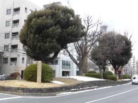 イメージ 11