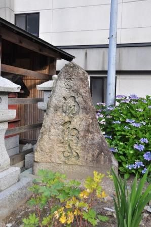 イメージ 9
