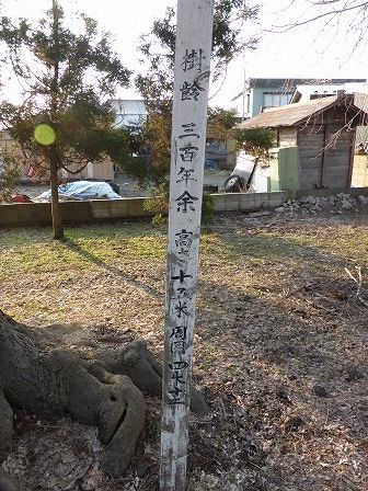イメージ 23
