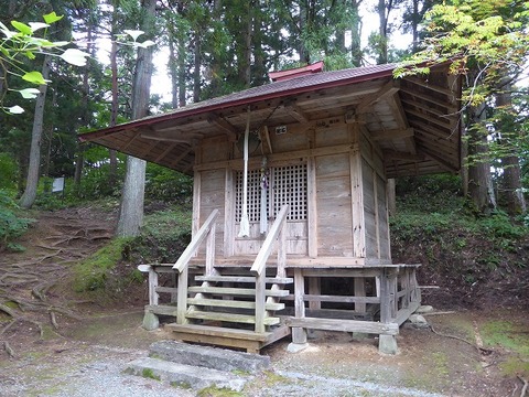 31
