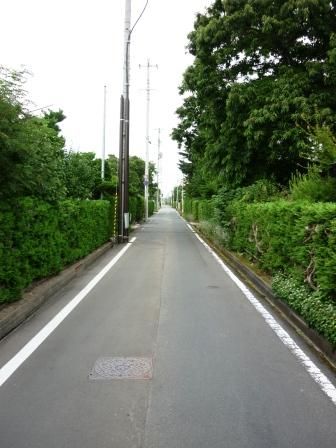イメージ 14