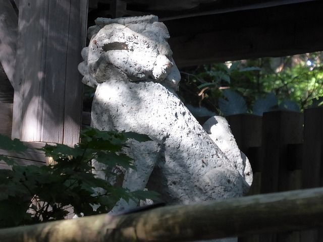 イメージ 7