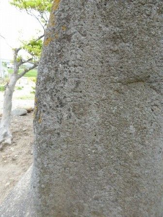 イメージ 14