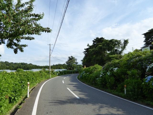 イメージ 2