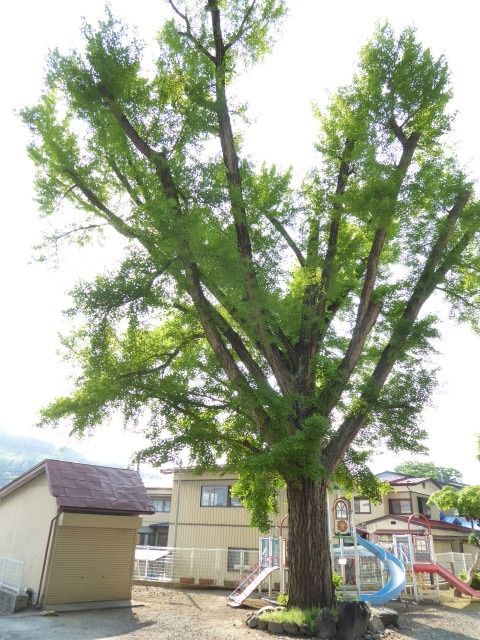 イメージ 20
