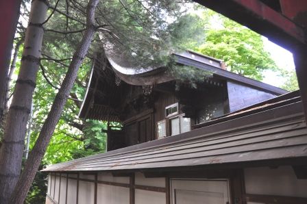 イメージ 15