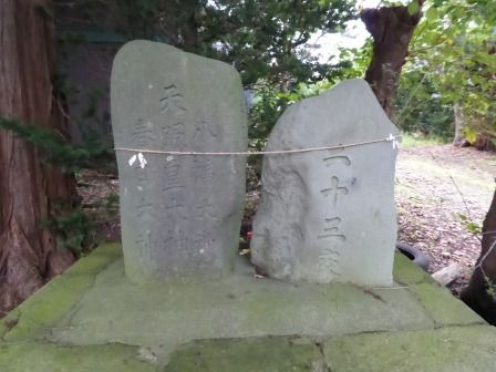 イメージ 15