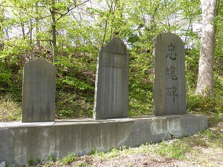 イメージ 37