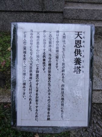 イメージ 36