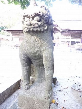 イメージ 61