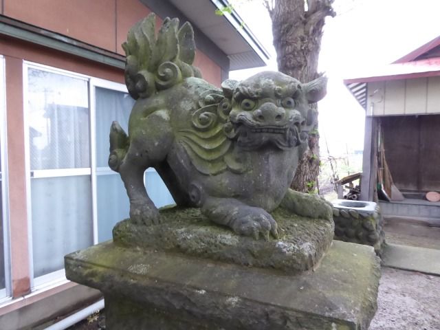 イメージ 8