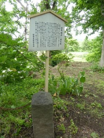 イメージ 6