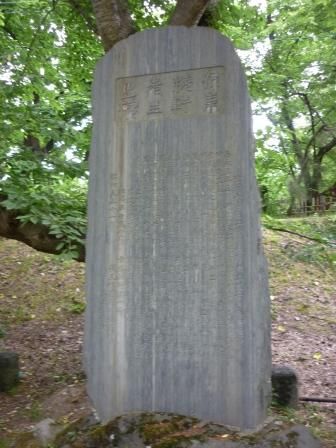 イメージ 9