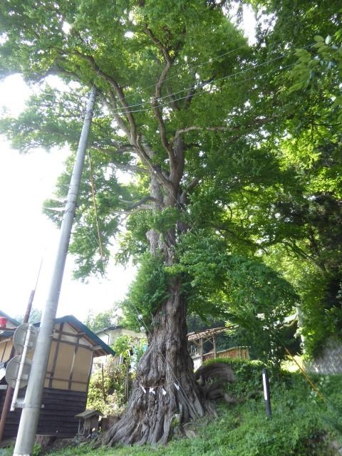 イメージ 1