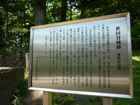 イメージ 8