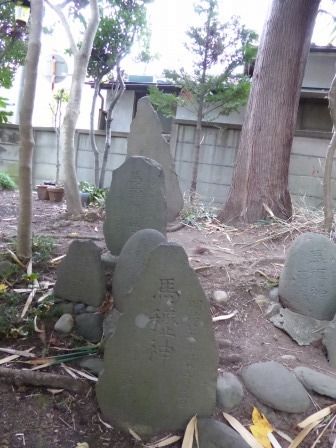 イメージ 8