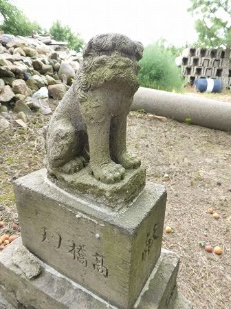 イメージ 33