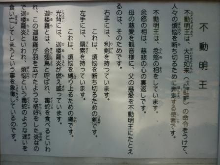 イメージ 45