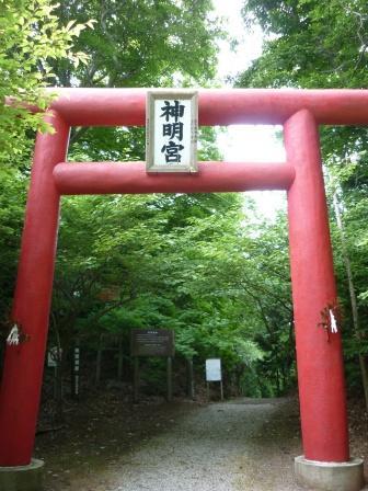 イメージ 9
