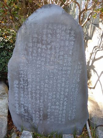 イメージ 6