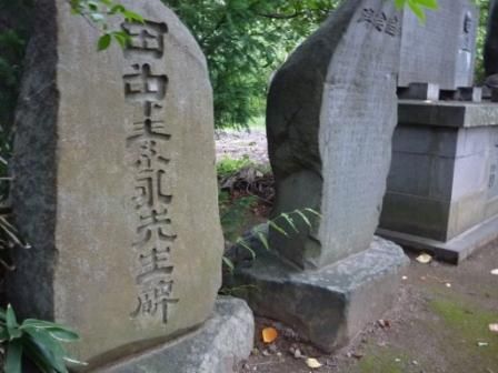 イメージ 15
