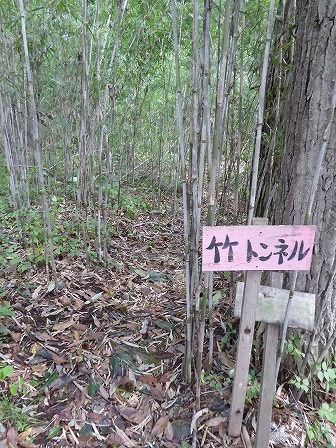 イメージ 20