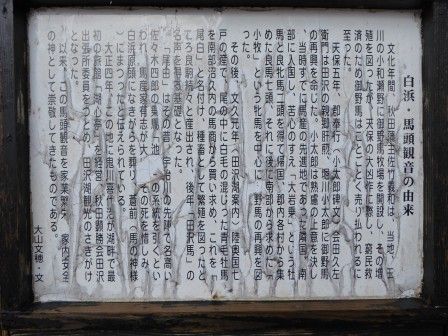 イメージ 14