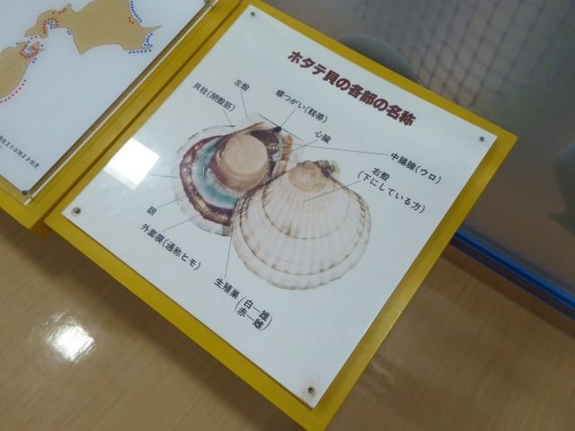 イメージ 12