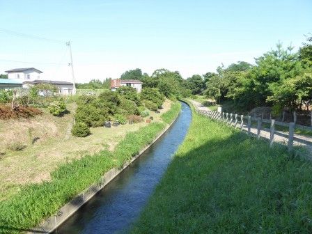 イメージ 1