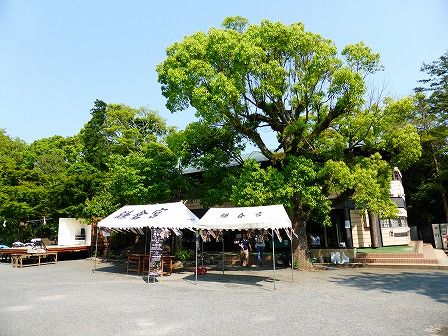 イメージ 7