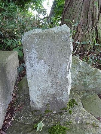 イメージ 12