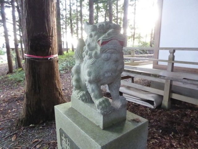 イメージ 7