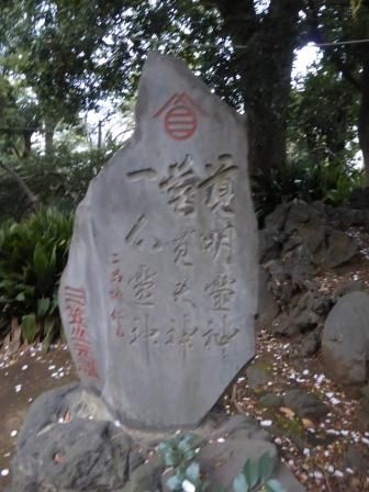 イメージ 8