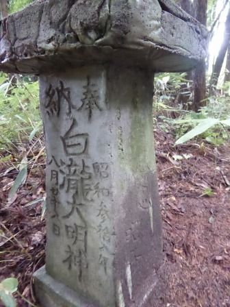 イメージ 43