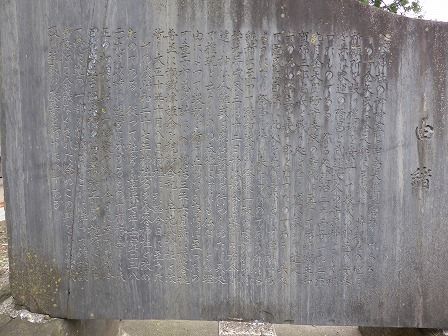 イメージ 7