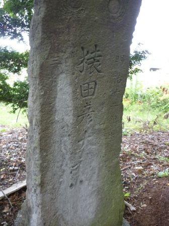 イメージ 12